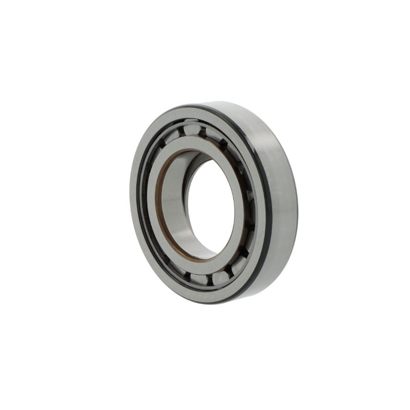Cuscinetto a rulli cilindrici NUP2218