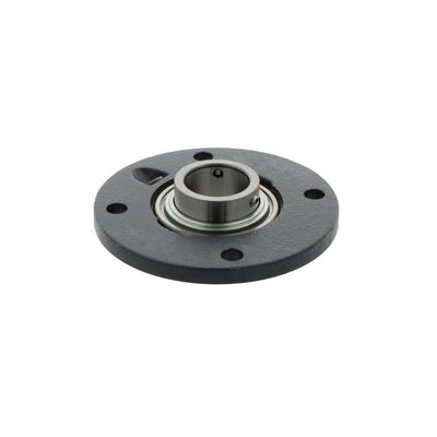 Supporto + cuscinetto flangiato (unita') RMEY45