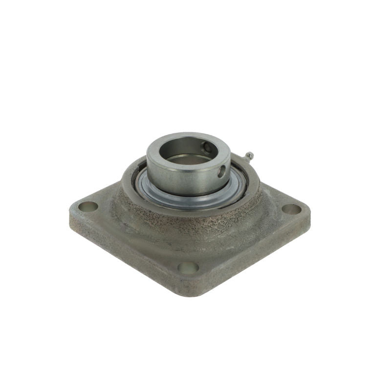 Supporto + cuscinetto flangiato (unita' ) RCJ25 -XL-N-FA125