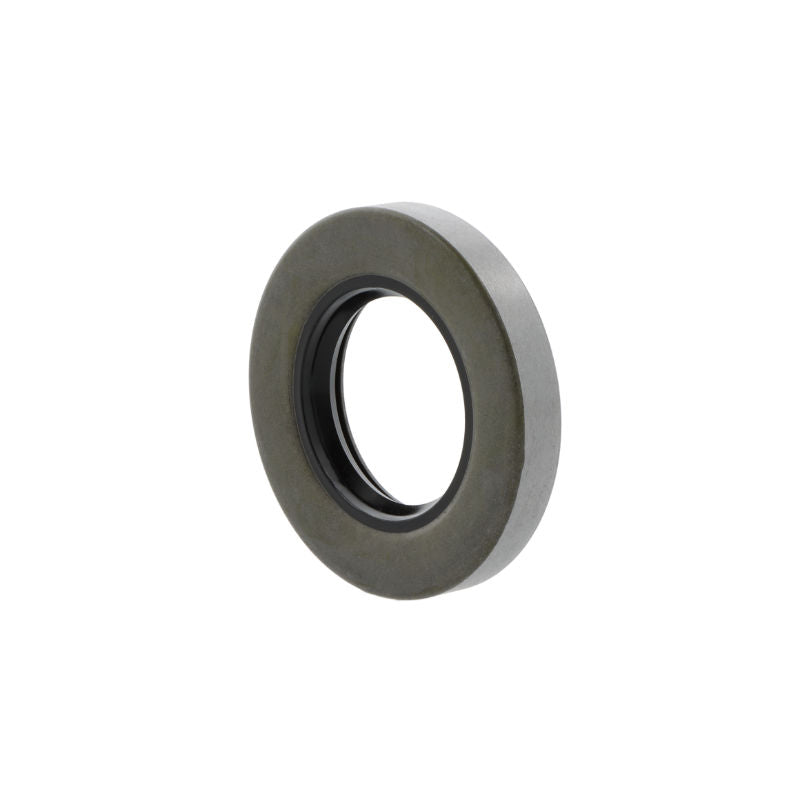 Anello di tenuta W100-120-10 B2 DICHTOMATIK 100x120x10