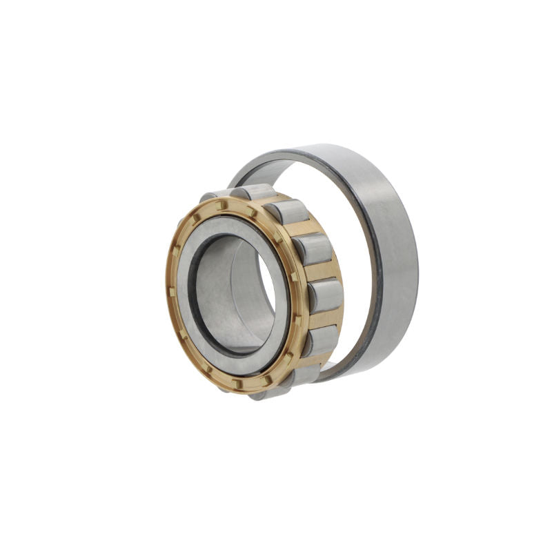 Cuscinetto a rulli cilindrici N310 -E-M1-C3 50x110x27