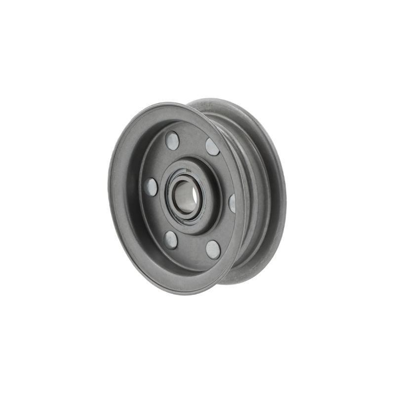 Rullo tendicinghia RSRB15-92 -L0 15x92x31