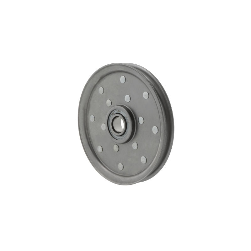 Rullo tendicinghia RSRD25-150 -L0 25x154x24