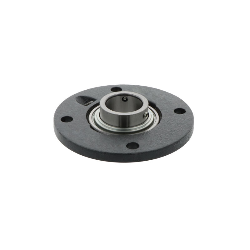 Supporto + cuscinetto flangiato (unita') RMEY25 -N