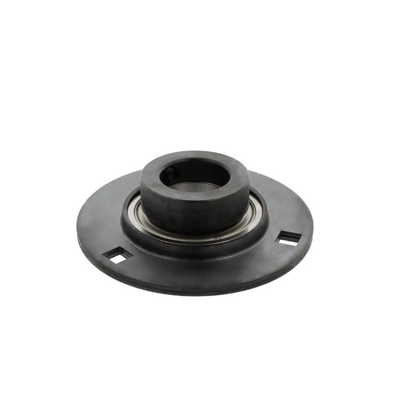 Supporto + cuscinetto flangiato AELPF204 NSK 2