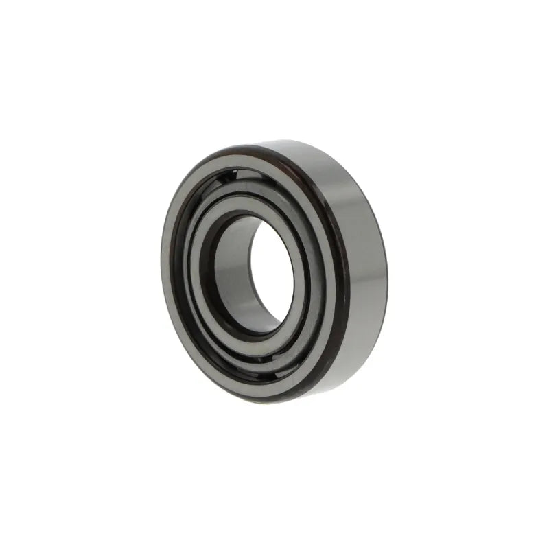Cuscinetto a rulli cilindrici NF310