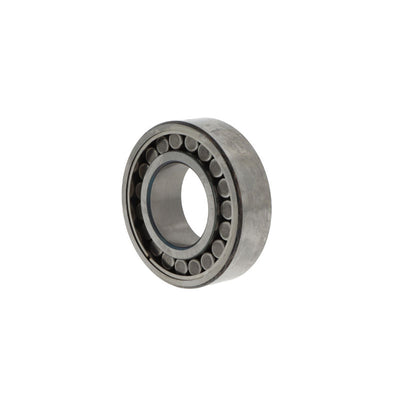 Cuscinetto toroidale a rulli C6006  V STC-Steyr