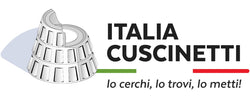 cuscinetti, italia cuscinetti, bearings, cuscinetti a sfere, anello tenuta, paraolio, cinghia trapezoidale, motore elettrico, riduttore, antinfortunistica